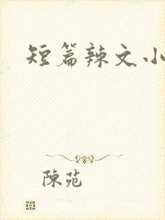 短篇辣文小说