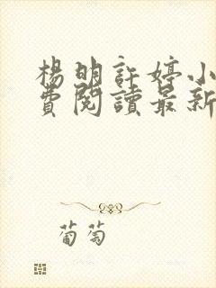 杨明许婷小说免费阅读最新章节