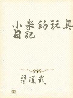 小米的玩具羞辱日记