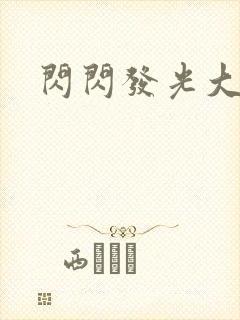 闪闪发光大团结封面