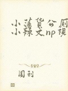 小荡货公厕h文小辣文np视频封面