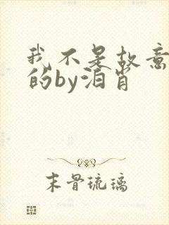 我不是故意出轨的by泊肖