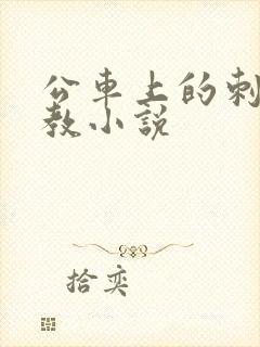 公车上的刺激调教小说封面