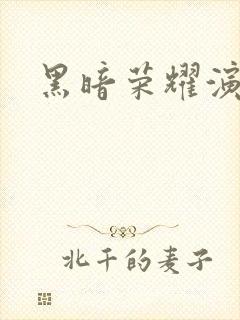 黑暗荣耀演员表封面