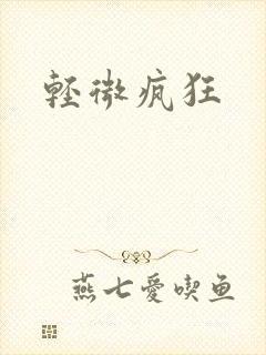 轻微疯狂封面