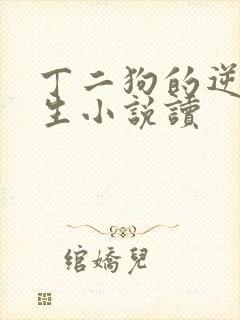 丁二狗的逆袭人生小说读