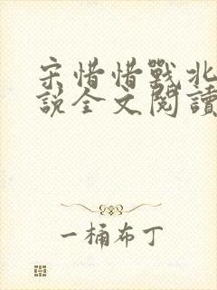 宋惜惜战北望小说全文阅读