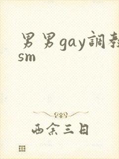 男男gay调教sm