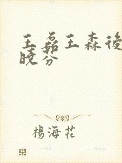 王磊王森后妈杨晓芬