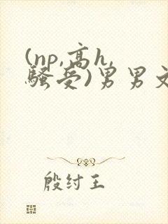 (np,高h,骚受)男男文封面
