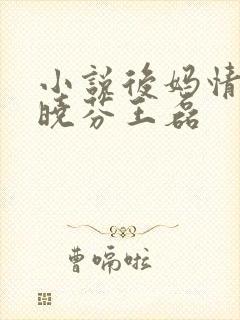 小说后妈情深杨晓芬王磊封面