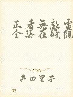 正者无敌电视剧全集在线观看