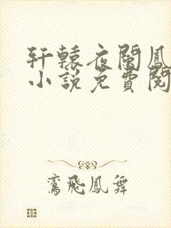 轩辕夜阑凤云倾小说免费阅读笔趣阁封面