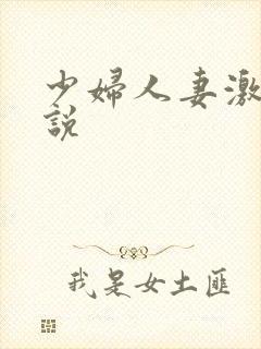 少妇人妻激情小说封面