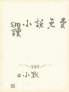 sm小说免费阅读
