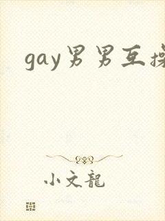 gay男男互操