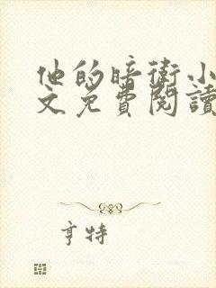 他的暗卫小说全文免费阅读无弹窗封面