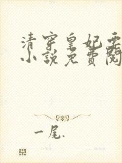 清穿皇妃要娇养小说免费阅读