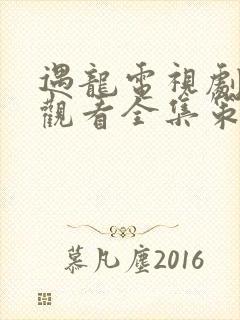 遇龙电视剧免费观看全集策封面