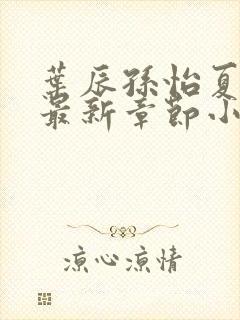 叶辰孙怡夏若雪最新章节小说