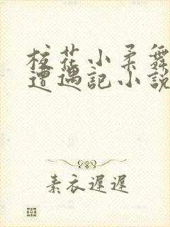 校花小柔舞蹈室遭遇记小说封面