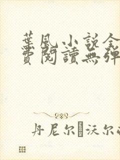 叶风小说全文免费阅读无弹窗最新章节