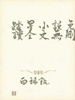 踏星小说免费阅读全文无删减