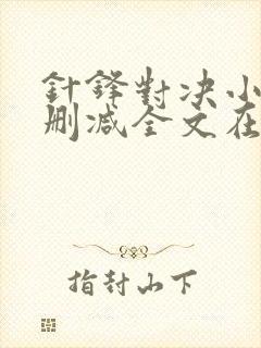 针锋对决小说无删减全文在线阅读