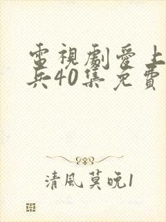 电视剧爱上特种兵40集免费观看全集