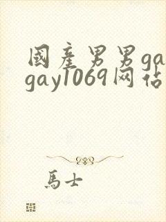 国产男男gaygay1069网站封面