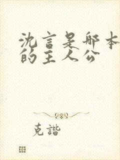 沈言是哪本小说的主人公