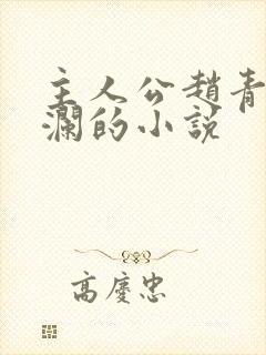 主人公赵青林安澜的小说