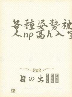 各种姿势被陌生人np高h入室文封面