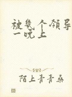 被几个领导玩弄一晚上