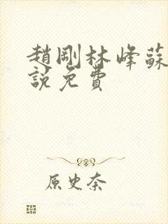 赵刚林峰苏柔小说免费