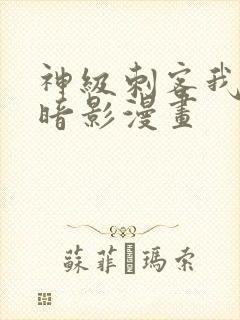 神级刺客我即是暗影漫画