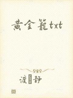 黄金笼txt