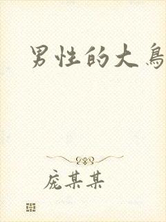 男性的大鸟