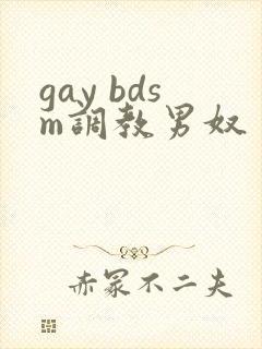 gay bdsm调教男奴