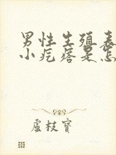 男性生殖表皮有小疙瘩是怎么回事挂什么科