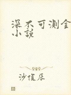 深不可测金银花小说