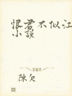 恨君不似江楼月小说