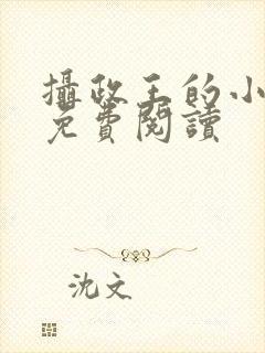 摄政王的小闲妻免费阅读