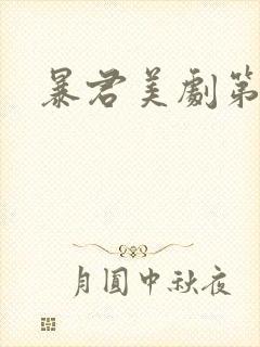 暴君美剧第一季