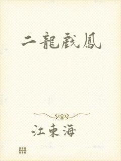 二龙戏凤