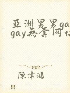 亚洲男男gaygay无套网站