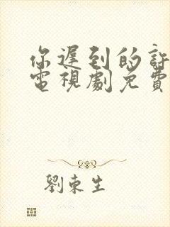 你迟到的许多年电视剧免费封面