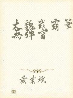 大魏武霸笔趣阁无弹窗