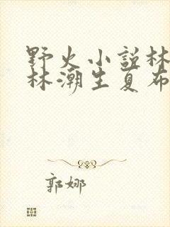 野火小说林晚晚林潮生夏布多昂笔趣阁