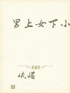 男上女下小说